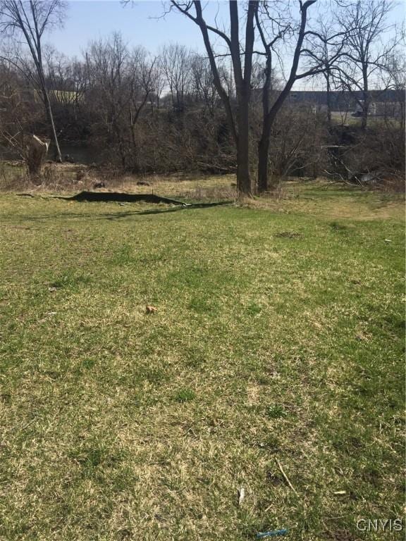 66 W St, Auburn, NY 13021 - photo 3