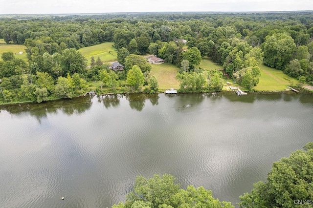 261 Oswego River Rd, Schroeppel, NY 13135 - photo 44