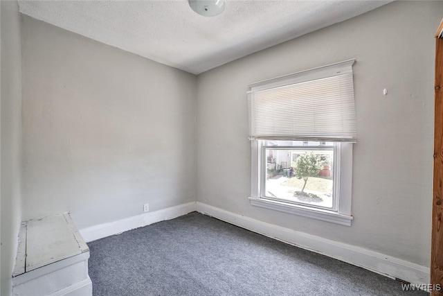 47 Heath St, Buffalo, NY 14214 - photo 17
