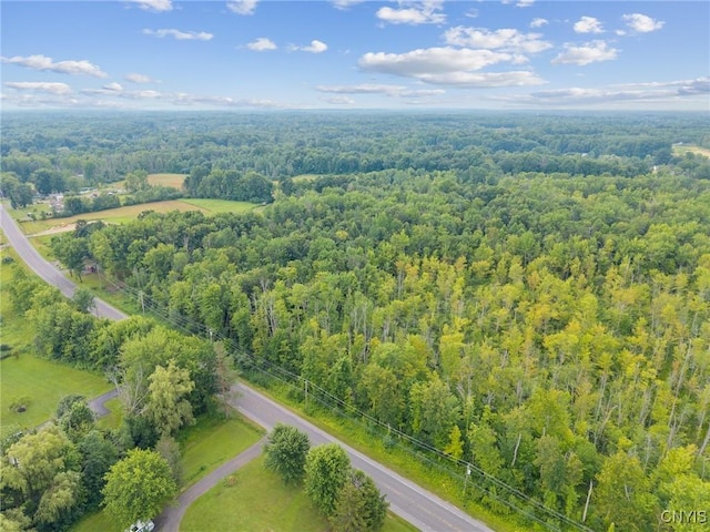 20 Trask Ln, Schroeppel, NY 13135 - photo 7