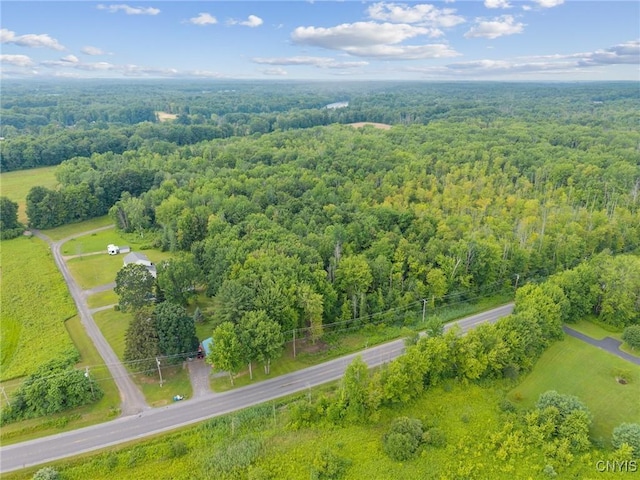 20 Trask Ln, Schroeppel, NY 13135 - photo 8