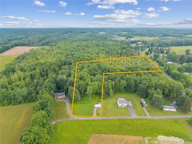 20 Trask Ln, Schroeppel, NY 13135 - photo 10