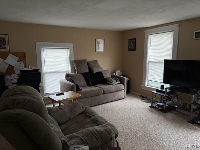 2 S Fulton St Unit 2, Homer, NY 13077 - photo 16