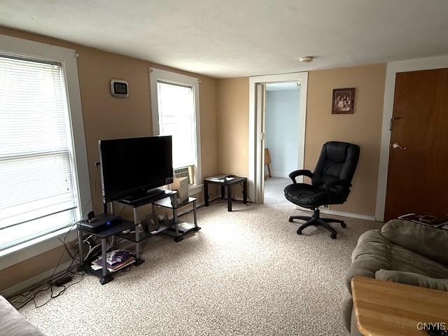 2 S Fulton St Unit 2, Homer, NY 13077 - photo 17