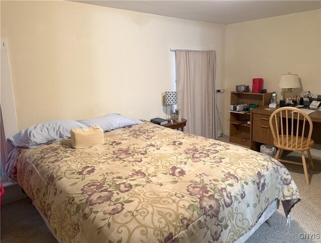 2 S Fulton St Unit 2, Homer, NY 13077 - photo 20