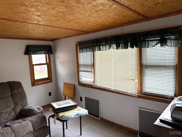 2 S Fulton St Unit 2, Homer, NY 13077 - photo 22