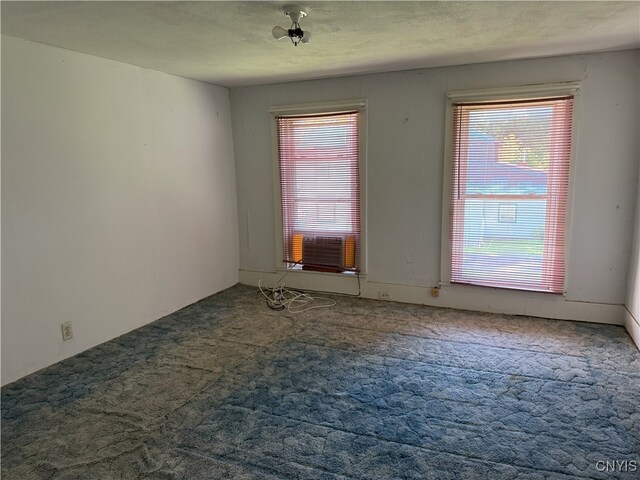 2 S Fulton St Unit 2, Homer, NY 13077 - photo 38