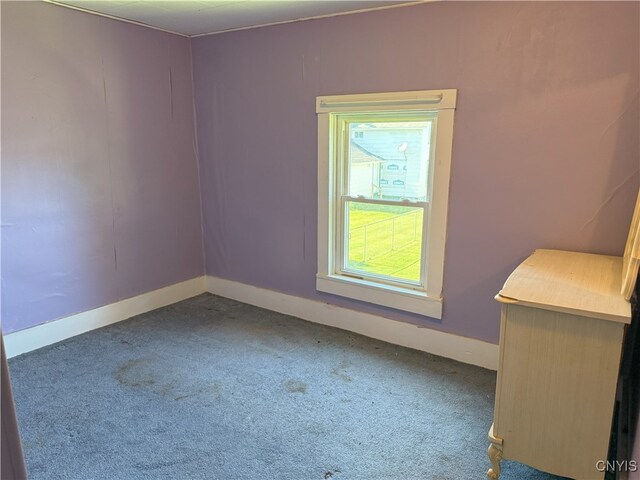 2 S Fulton St Unit 2, Homer, NY 13077 - photo 42