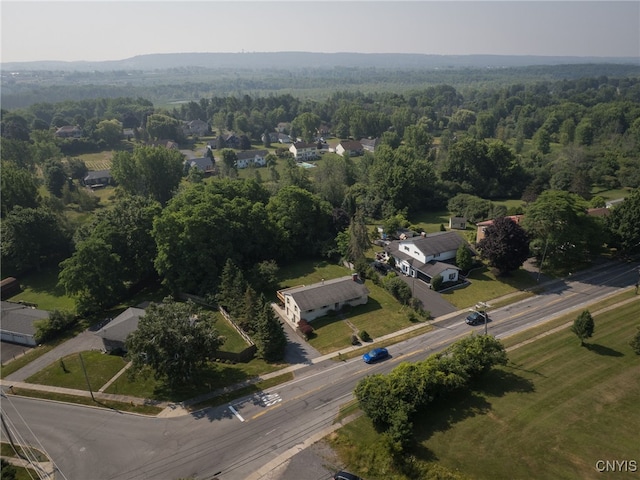 1309 Ives St, Watertown City, NY 13601 - photo 44