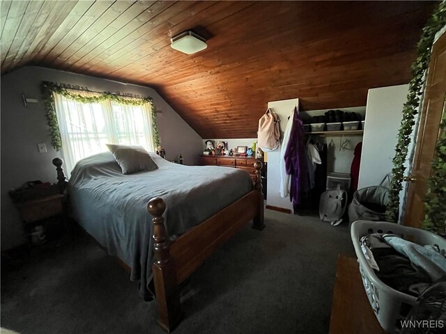 511 Capen Blvd, Amherst, NY 14226 - photo 5