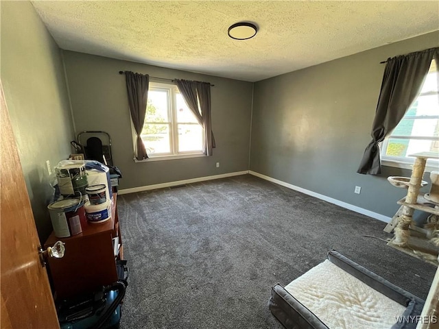 511 Capen Blvd, Amherst, NY 14226 - photo 11