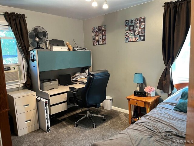 511 Capen Blvd, Amherst, NY 14226 - photo 13