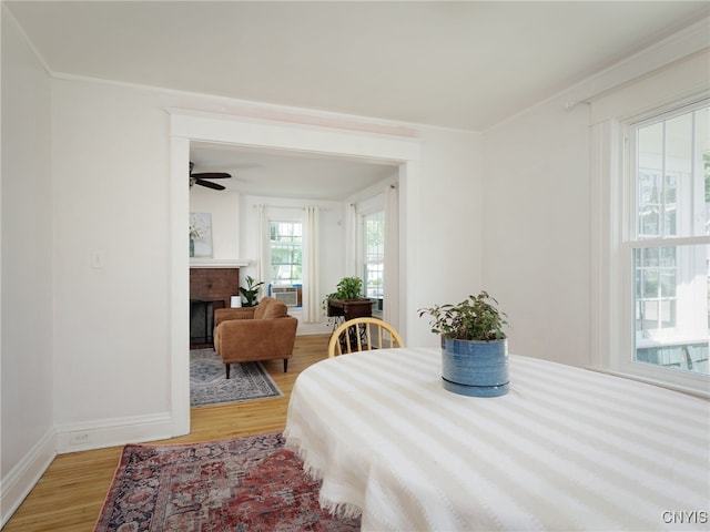 516 Dimmick St, Watertown City, NY 13601 - photo 10