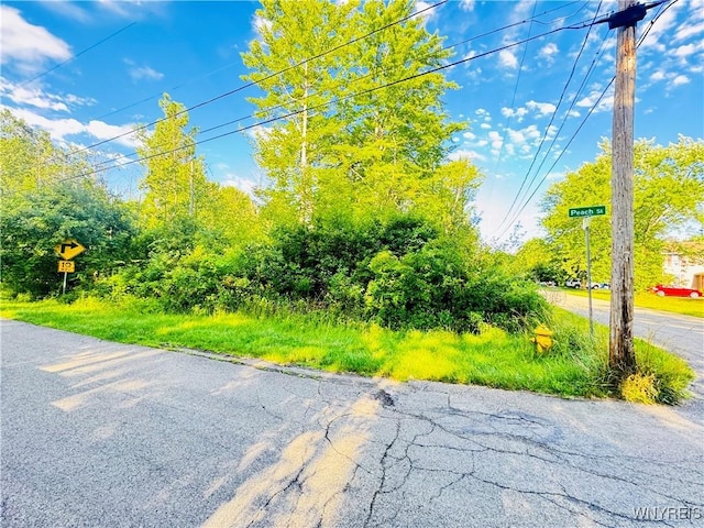 0 Sycamore St, Evans, NY 14006 - photo 2