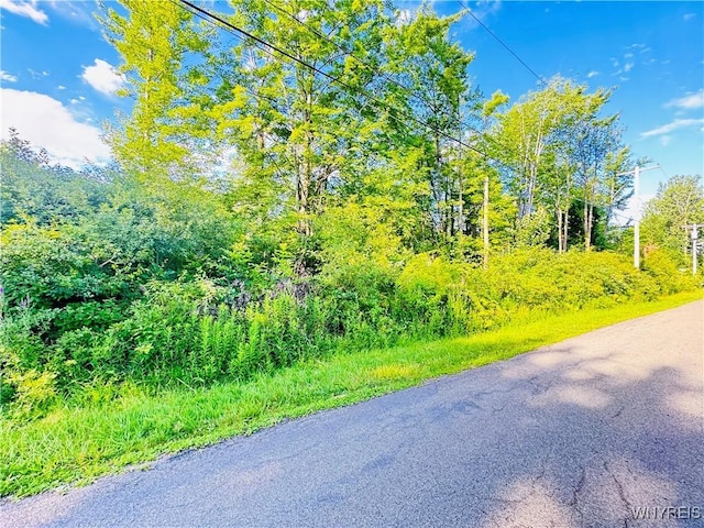 0 Sycamore St, Evans, NY 14006 - photo 3