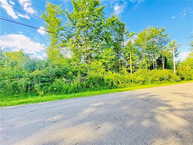 0 Sycamore St, Evans, NY 14006 - photo 4