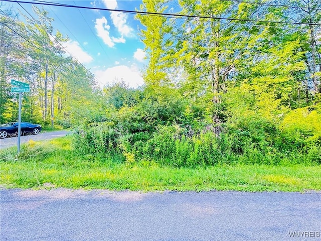 0 Sycamore St, Evans, NY 14006 - photo 5
