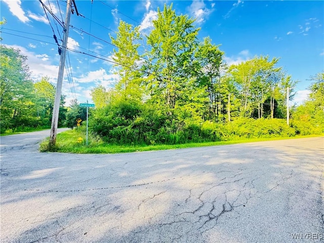 0 Sycamore St, Evans, NY 14006 - photo 1