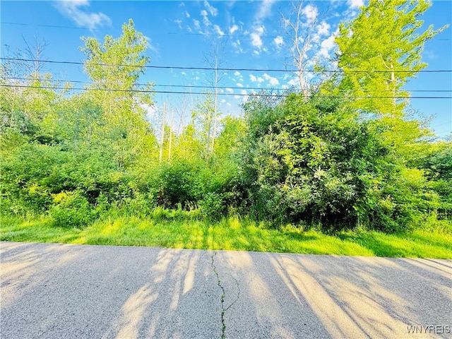 0 Sycamore St, Evans, NY 14006 - photo 6