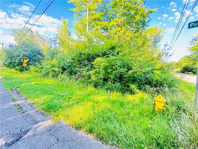 0 Sycamore St, Evans, NY 14006 - photo 7
