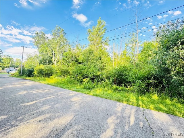 0 Sycamore St, Evans, NY 14006 - photo 9