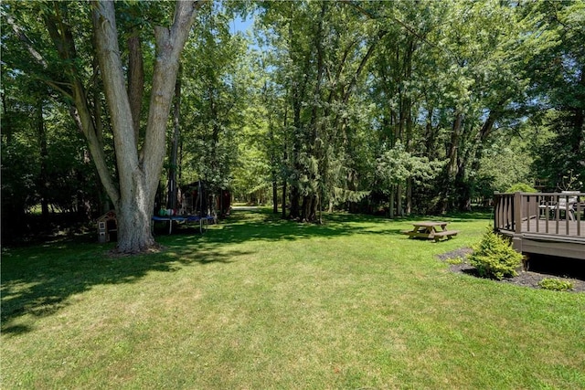 1330 Crittenden Rd, Brighton, NY 14623 - photo 16