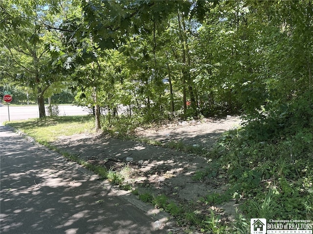 Foote Ave, Jamestown, NY 14701 - photo 7