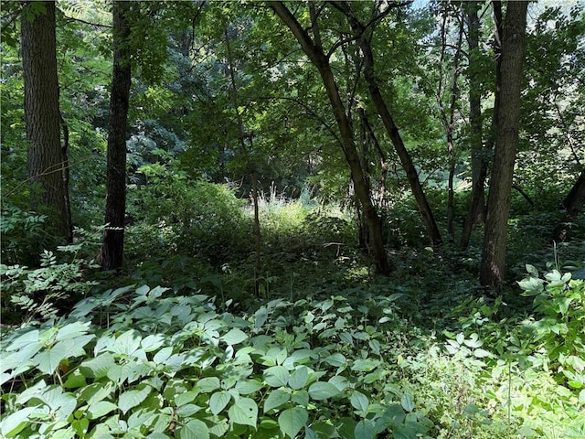 3201 Wilson Youngstown Rd, Wilson, NY 14172 - photo 7