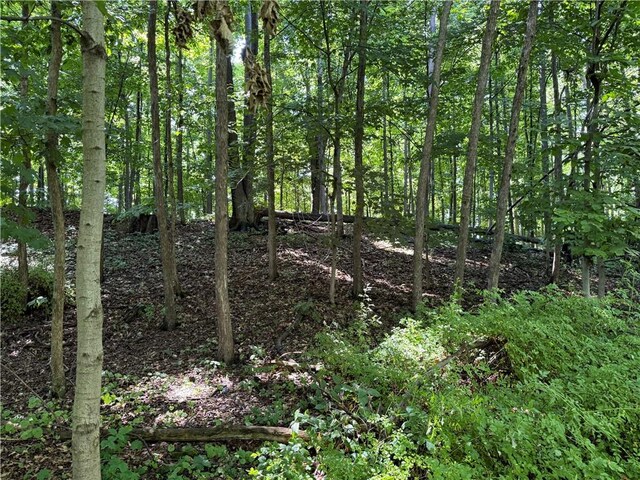 3201 Wilson Youngstown Rd, Wilson, NY 14172 - photo 9