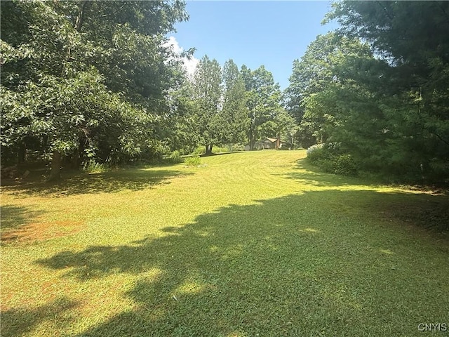 7653 Yager Rd, Vienna, NY 13308 - photo 41