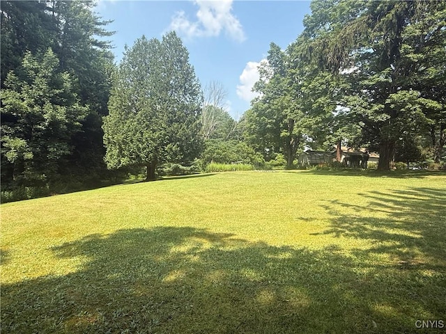 7653 Yager Rd, Vienna, NY 13308 - photo 45