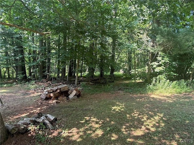 7653 Yager Rd, Vienna, NY 13308 - photo 42