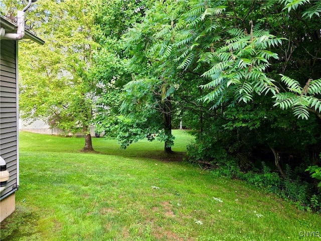 9142 Frenchmans Creek Dr, Lysander, NY 13135 - photo 9