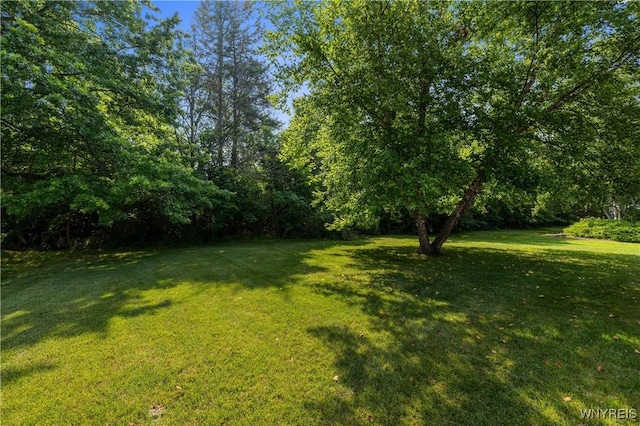 4055 River Rd, Lewiston, NY 14174 - photo 37