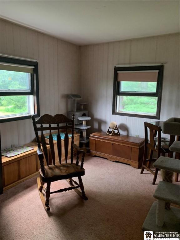 5113 Maple Springs Ellery Rd, Ellery, NY 14712 - photo 22