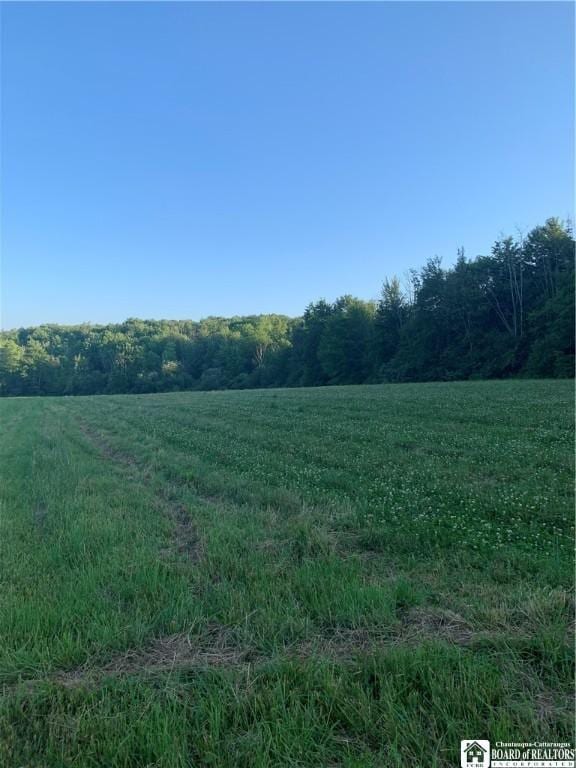 5113 Maple Springs Ellery Rd, Ellery, NY 14712 - photo 43