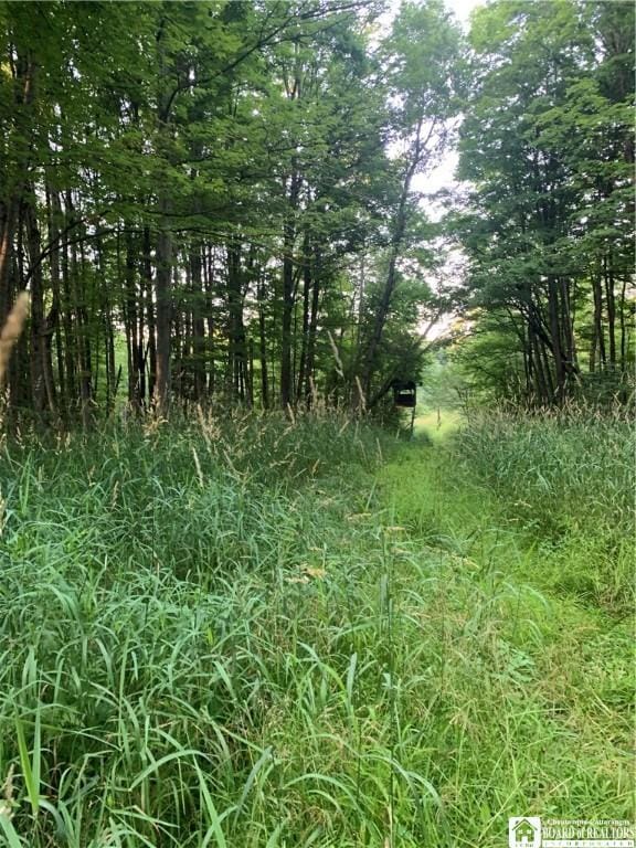 5113 Maple Springs Ellery Rd, Ellery, NY 14712 - photo 48