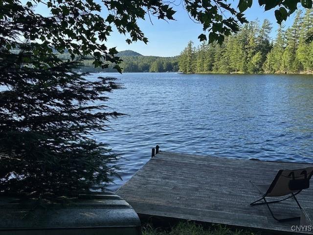 268 Old Boy Scout Rd, Webb, NY 13420 - photo 14