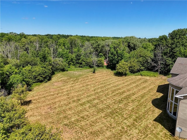 6580 Rice Rd, East Bloomfield, NY 14564 - photo 6