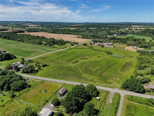 6580 Rice Rd, East Bloomfield, NY 14564 - photo 8