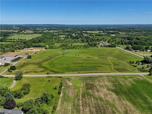 6580 Rice Rd, East Bloomfield, NY 14564 - photo 9