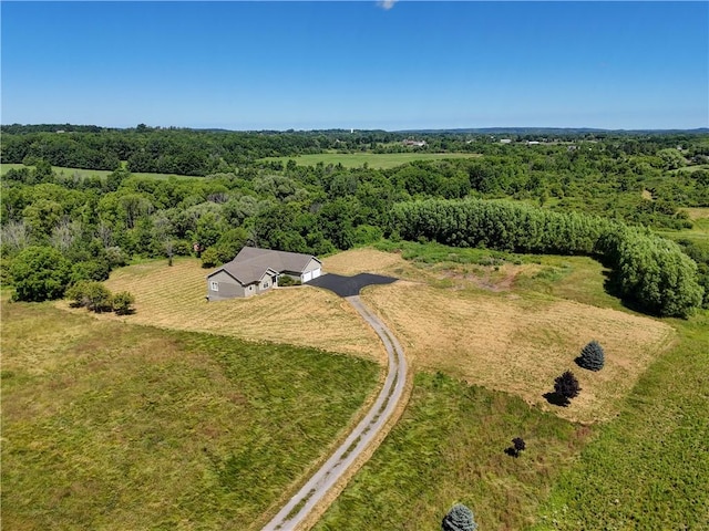 6580 Rice Rd, East Bloomfield, NY 14564 - photo 11