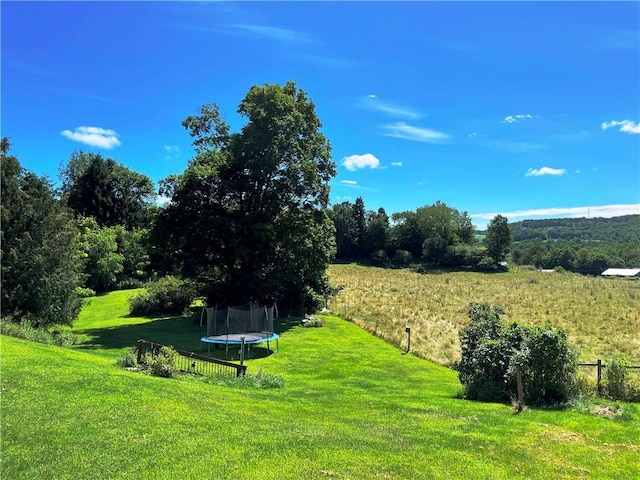 1192 Earlville Rd, Hamilton, NY 13332 - photo 5