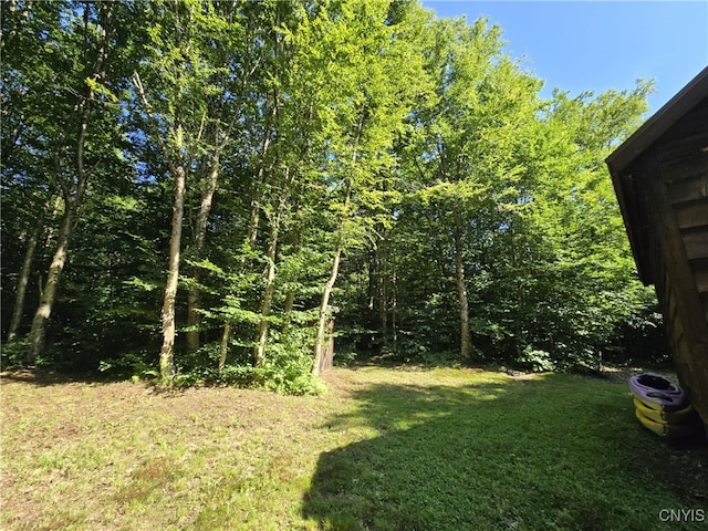 2985 Potter Rd, Osceola, NY 13437 - photo 5