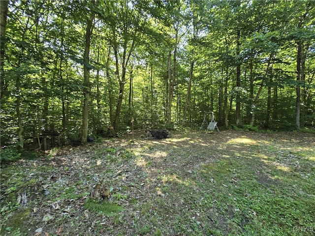 2985 Potter Rd, Osceola, NY 13437 - photo 6