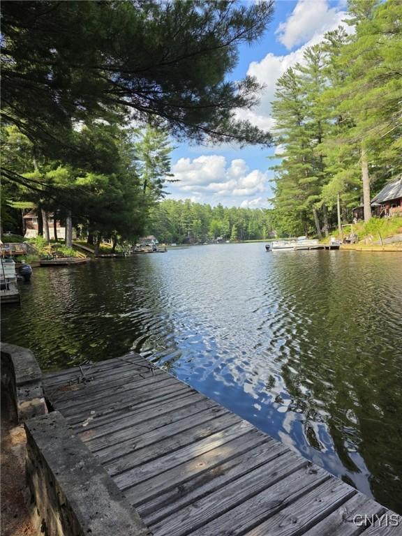 5234 Lake House Rd, Greig, NY 13312 - photo 3