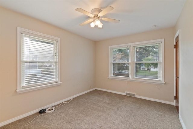 131 Rose Dr, Arcadia, NY 14513 - photo 19