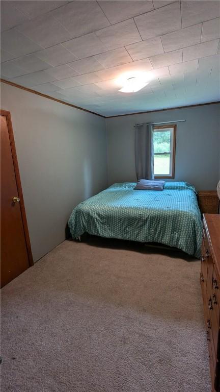 1408 E Brook Rd, Hamden, NY 13856 - photo 22