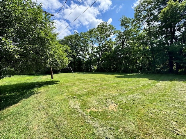36 Church St, Jackson Township, PA 16936 - photo 43