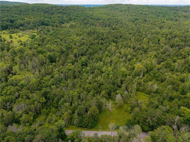 Sheff Rd, New Berlin, NY 13843 - photo 3